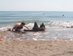 Ulcinj - Velika Plaža - szeroka, piaszczysta plaża